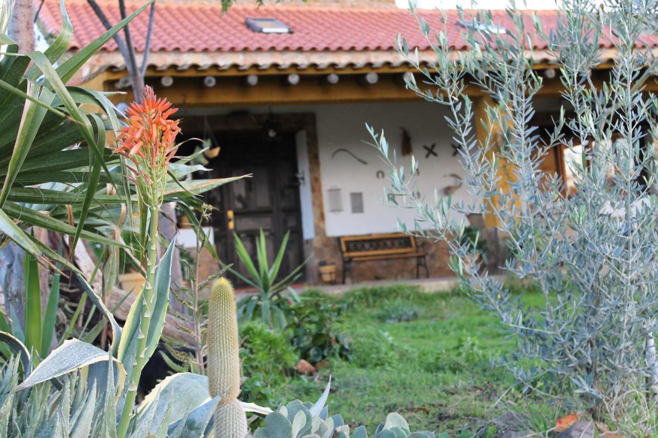 מרידה Casa Rural La Coscoja מראה חיצוני תמונה