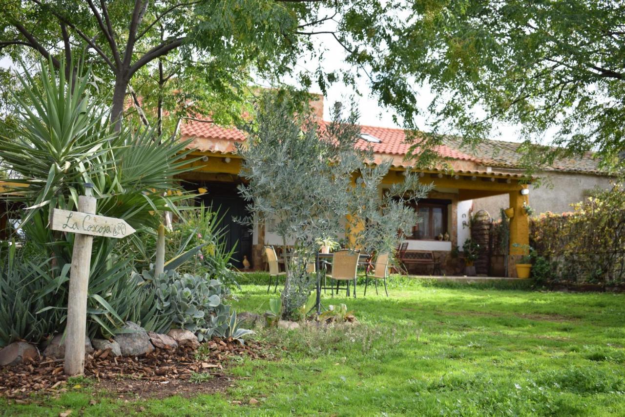 מרידה Casa Rural La Coscoja מראה חיצוני תמונה