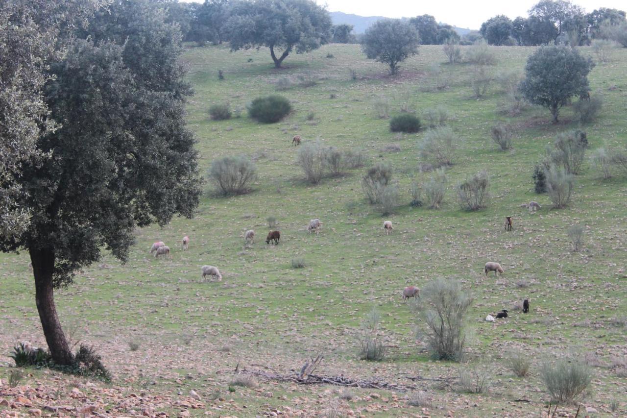 מרידה Casa Rural La Coscoja מראה חיצוני תמונה
